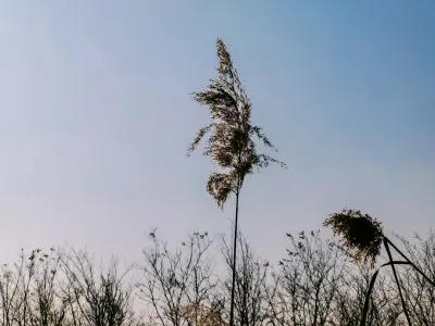 Bit4win Casino App Mobile